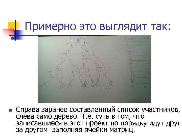 Примерно это выглядит так: n Справа заранее составленный список участников, слева само дерево. Т.