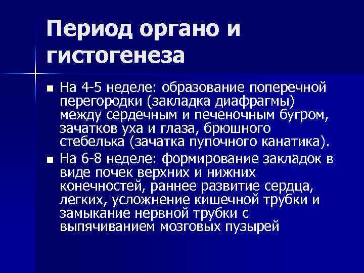 Период органо и гистогенеза n n На 4 -5 неделе: образование поперечной перегородки (закладка