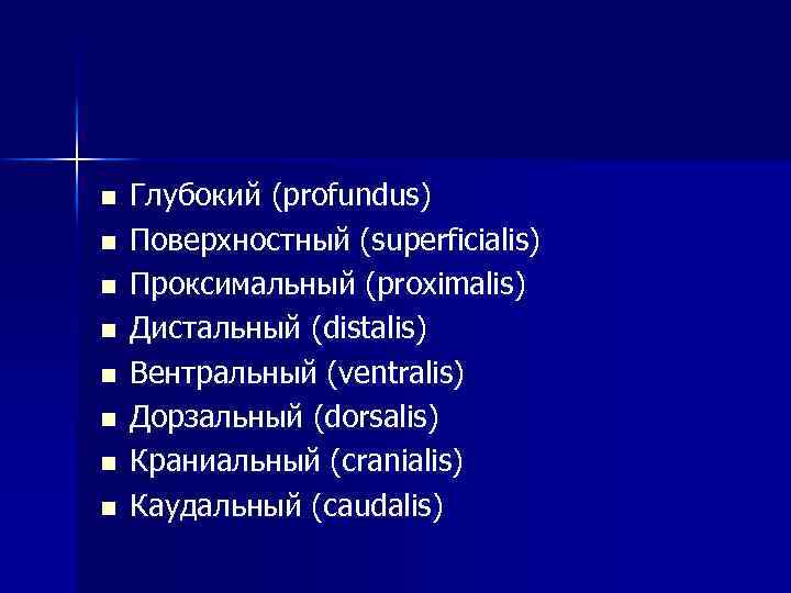 n n n n Глубокий (profundus) Поверхностный (superficialis) Проксимальный (proximalis) Дистальный (distalis) Вентральный (ventralis)