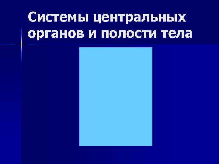 Системы центральных органов и полости тела 