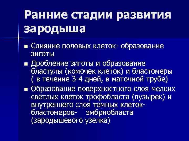 Ранние стадии развития зародыша n n n Слияние половых клеток- образование зиготы Дробление зиготы