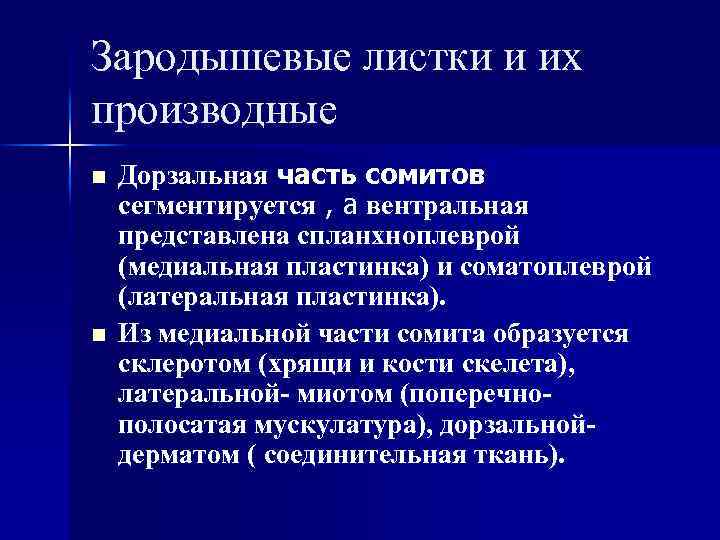 Зародышевые листки и их производные n n Дорзальная часть сомитов сегментируется , а вентральная