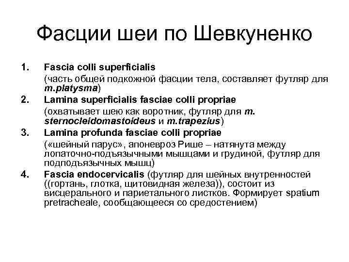Фасции шеи по Шевкуненко 1. 2. 3. 4. Fascia colli superficialis (часть общей подкожной