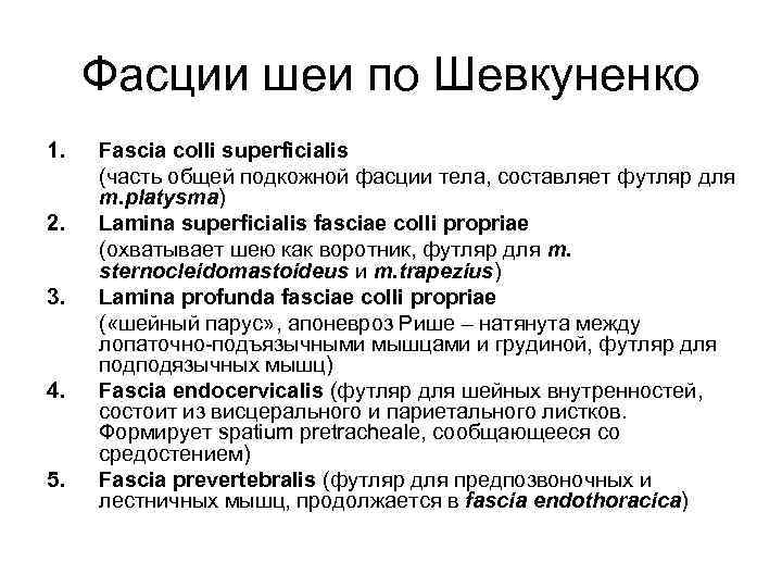 Фасции шеи по Шевкуненко 1. 2. 3. 4. 5. Fascia colli superficialis (часть общей