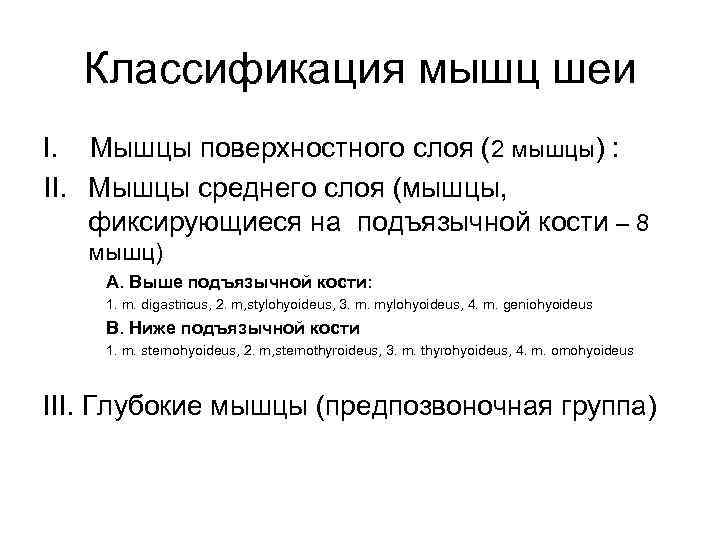 Классификация мышц шеи I. Мышцы поверхностного слоя (2 мышцы) : II. Мышцы среднего слоя