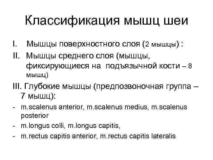 Классификация мышц шеи I. Мышцы поверхностного слоя (2 мышцы) : II. Мышцы среднего слоя