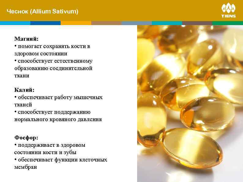 Чеснок and its. Sativum) ZINC (Allium influence on human body Магний: • помогает сохранять