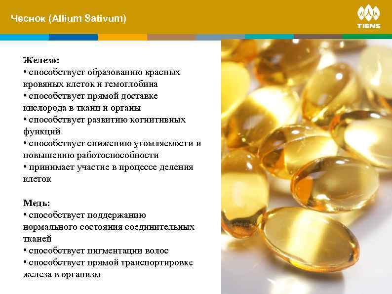 Чеснок and its. Sativum) ZINC (Allium influence on human body Железо: • способствует образованию