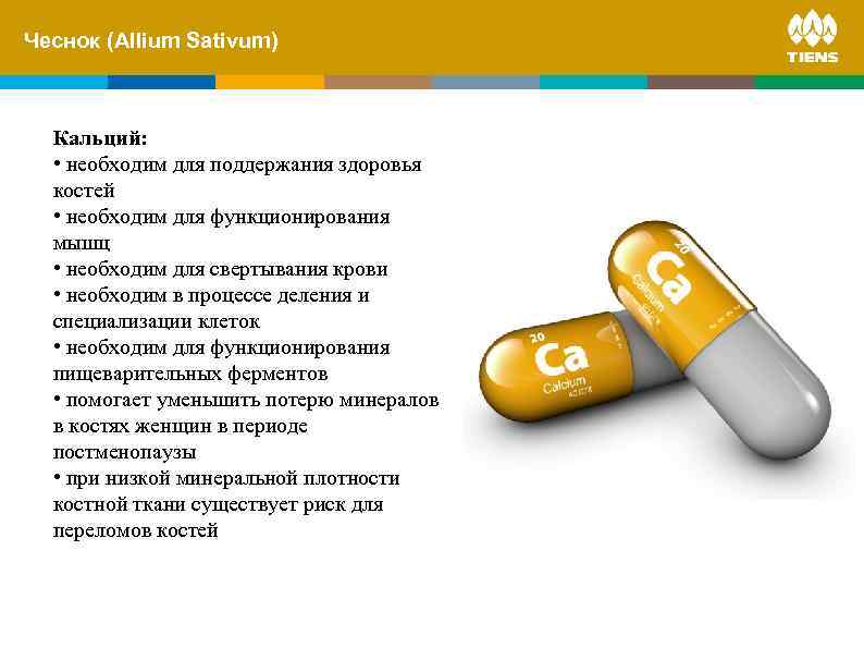 Чеснок and its. Sativum) ZINC (Allium influence on human body Кальций: • необходим для