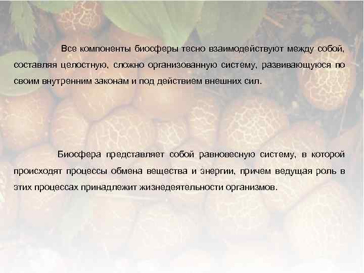 Все компоненты биосферы тесно взаимодействуют между собой, составляя целостную, сложно организованную систему, развивающуюся по