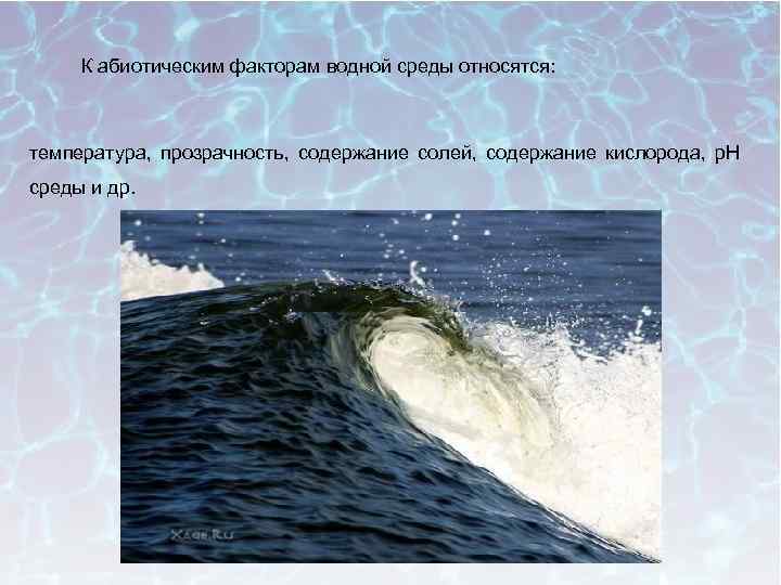 К абиотическим факторам водной среды относятся: температура, прозрачность, содержание солей, содержание кислорода, р. Н