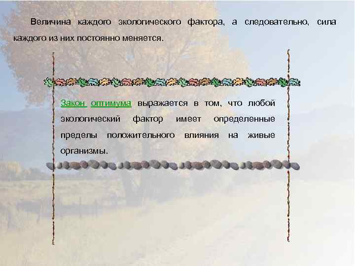 Величина каждого экологического фактора, а следовательно, сила каждого из них постоянно меняется. Закон оптимума