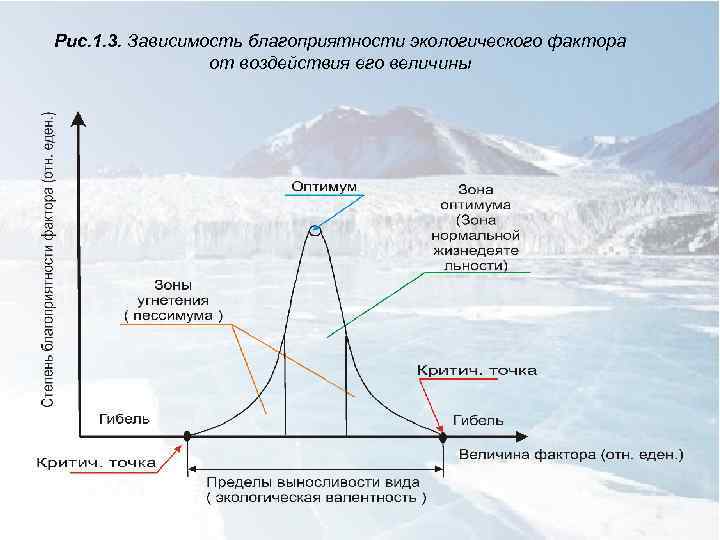Рис. 1. 3. Зависимость благоприятности экологического фактора от воздействия его величины 