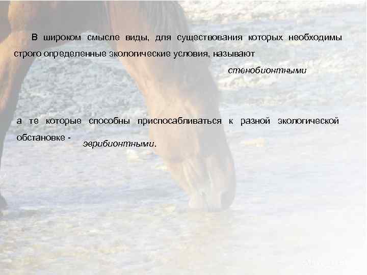 В широком смысле виды, для существования которых необходимы строго определенные экологические условия, называют стенобионтными