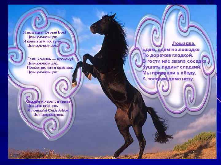 Я лошадка Серый Бок! Цок-цок-цок. Я копытцем постучу, Цок-цок-цок. Если хочешь — прокачу! Цок-цок-цок.