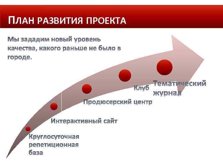 ПЛАН РАЗВИТИЯ ПРОЕКТА 