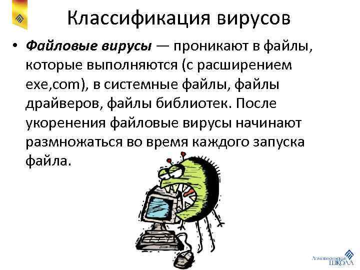 Классификация вирусов • Файловые вирусы — проникают в файлы, которые выполняются (с расширением exe,