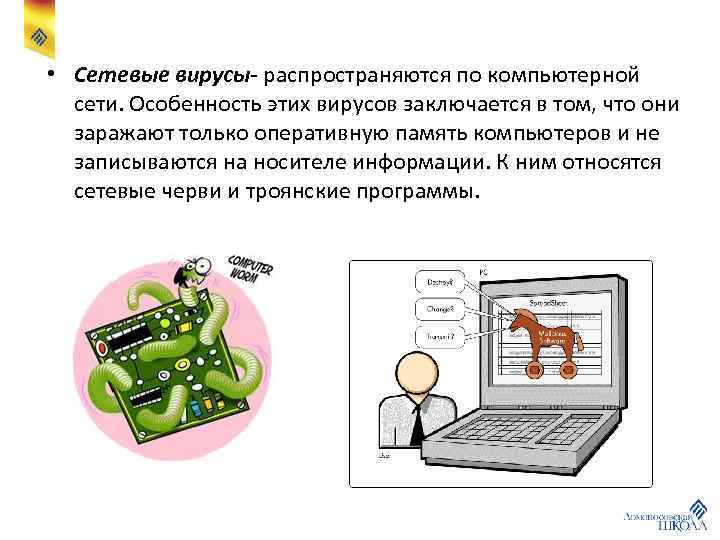  • Сетевые вирусы- распространяются по компьютерной сети. Особенность этих вирусов заключается в том,