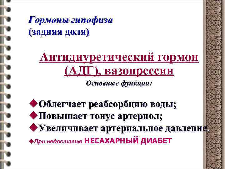 Гормоны гипофиза (задняя доля) Антидиуретический гормон (АДГ), вазопрессин Основные функции: u. Облегчает реабсорбцию воды;