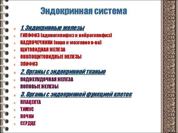 Эндокринная система n 1. Эндокринные железы n ГИПОФИЗ (аденогипофиз и нейрогипофиз) НАДПОЧЕЧНИКИ (кора и