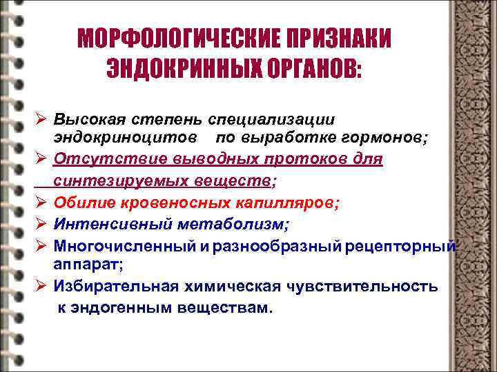 МОРФОЛОГИЧЕСКИЕ ПРИЗНАКИ ЭНДОКРИННЫХ ОРГАНОВ: Ø Высокая степень специализации эндокриноцитов по выработке гормонов; Ø Отсутствие