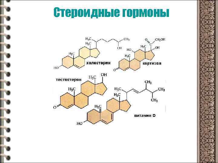 Стероидные гормоны 