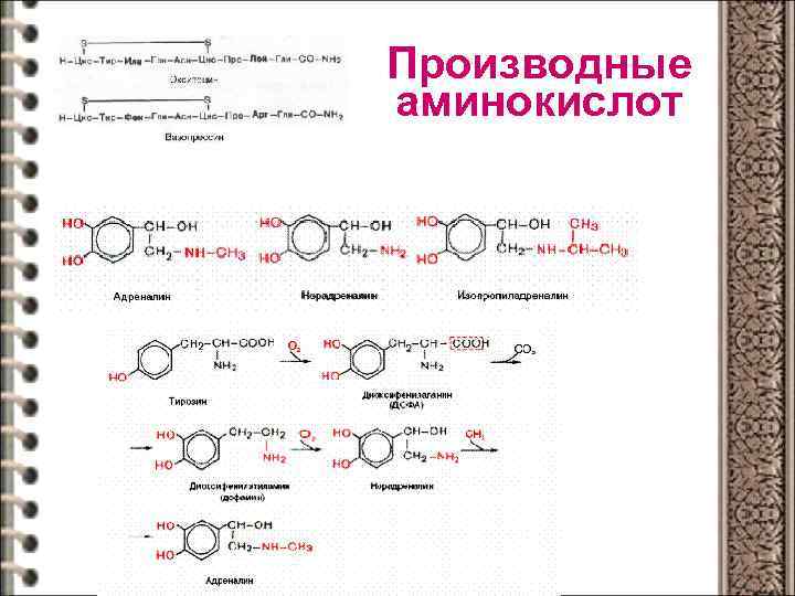 Производные аминокислот