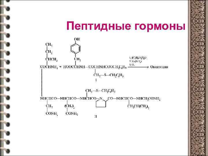 Пептидные гормоны 