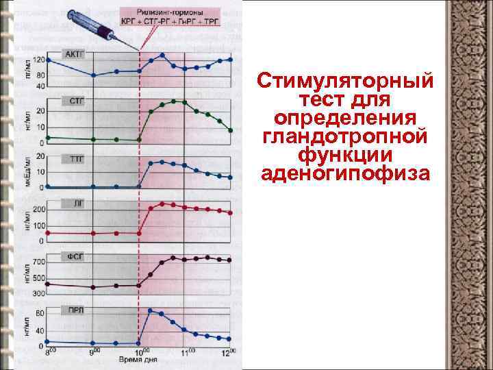 Стимуляторный тест для определения гландотропной функции аденогипофиза 