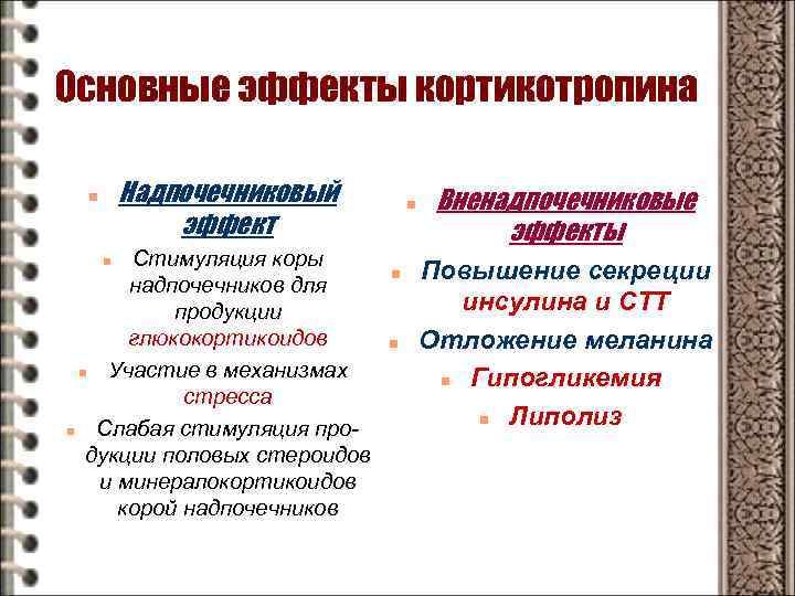 Основные эффекты кортикотропина Надпочечниковый эффект n Стимуляция коры надпочечников для продукции глюкокортикоидов n Участие