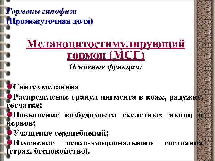 Гормоны гипофиза (Промежуточная доля) Меланоцитостимулирующий гормон (МСГ) Основные функции: l. Синтез меланина l. Распределение