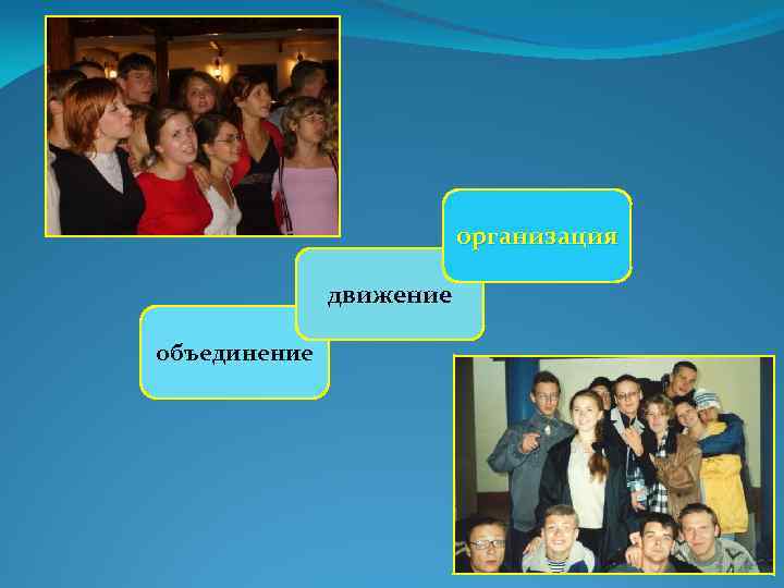 организация движение объединение 