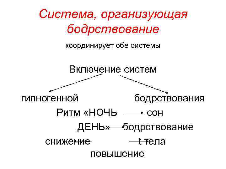 Система, организующая бодрствование координирует обе системы Включение систем гипногенной бодрствования Ритм «НОЧЬ сон ДЕНЬ»