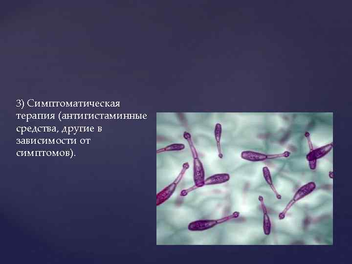 3) Симптоматическая терапия (антигистаминные средства, другие в зависимости от симптомов). 