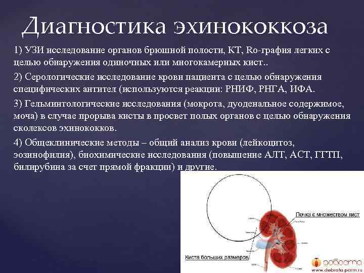 Нефункционирующая цистостома карта вызова