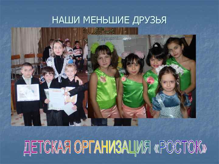 НАШИ МЕНЬШИЕ ДРУЗЬЯ 