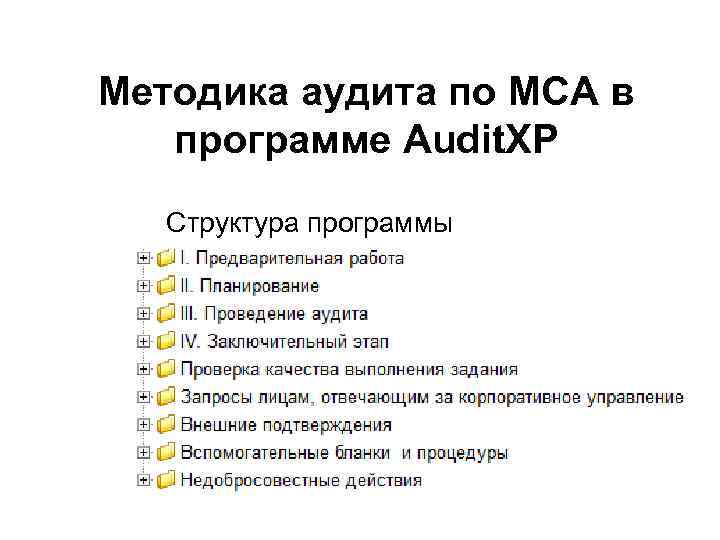 Методика аудита по МСА в программе Audit. XP Структура программы 