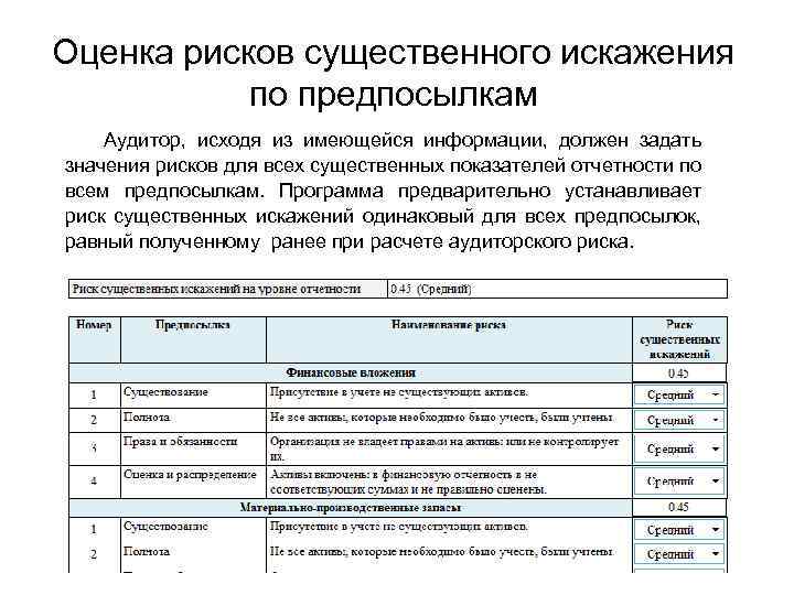 Риск ориентированный план аудита