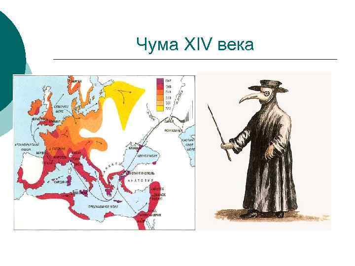 Чума XIV века 