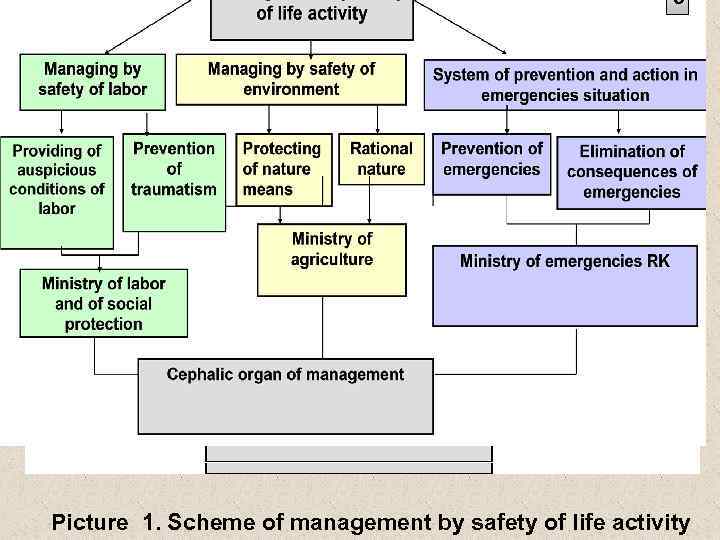 5 8 Picture 1. Scheme of management by safety of life activity 
