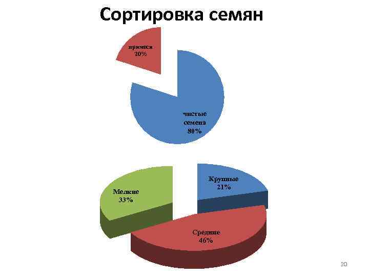 Сортировка семян примеси 20% чистые семена 80% Мелкие 33% Крупные 21% Средние 46% 20