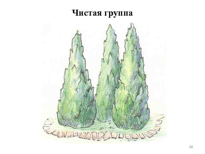 Чистая группа 28 