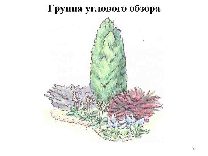 Группа углового обзора 31 