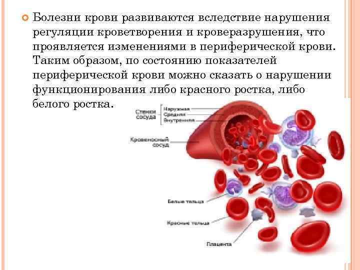 Болезни крови и кроветворных органов. Система кроветворения. Заболевания системы кроветворения. Заболевания крови и органов кроветворения.