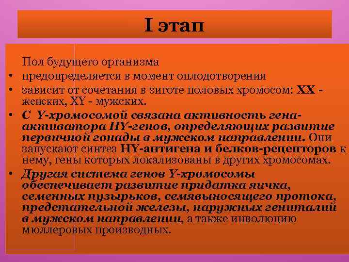 I этап • • Пол будущего организма предопределяется в момент оплодотворения зависит от сочетания