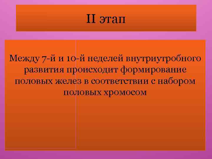 II этап Между 7 -й и 10 -й неделей внутриутробного развития происходит формирование половых