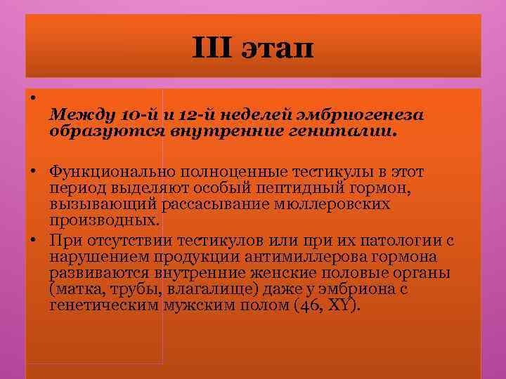 III этап • Между 10 -й и 12 -й неделей эмбриогенеза образуются внутренние гениталии.