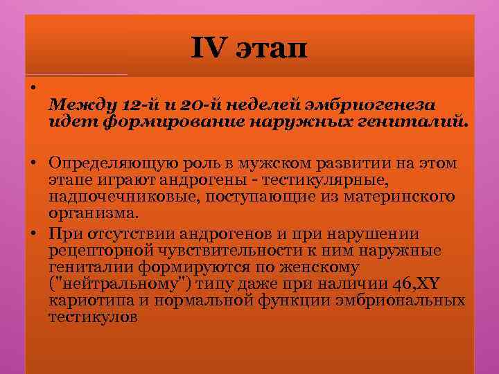 IV этап • Между 12 -й и 20 -й неделей эмбриогенеза идет формирование наружных