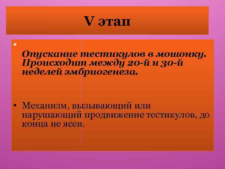 V этап • Опускание тестикулов в мошонку. Происходит между 20 -й и 30 -й