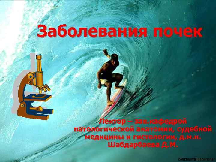 Заболевания почек Лектор – зав. кафедрой патологической анатомии, судебной медицины и гистологии, д. м.